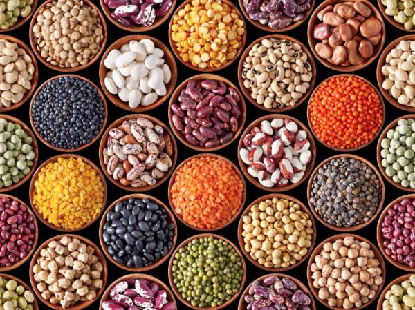  High-quality Seeds Grains For Export - seed plant seed we supply a wide variety of premium-quality seeds and grains,  carefully sourced from trusted growers and processed under strict quality standards. our products are ideal for food production,  animal feed,  and industrial applications.--available varieties---    oilseeds- sunflower,  soybean,  canola,  se