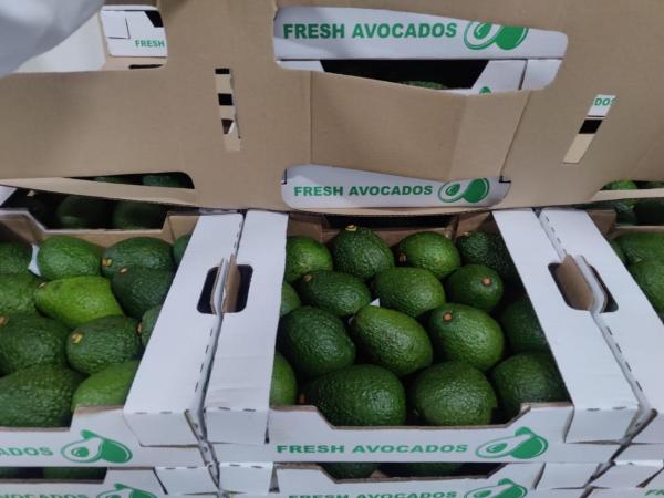  Actuellement Ananas Mangue Avocat Cajou - fruits et légumes disponible actuellement ananas avocat cajou mangue disponibles au nord du b&eacute;nin avec des prix comp&eacute;titifs et des produits de tr&egrave;s bonnes qualit&eacute;s merci de me contacter pour plus d'informations 