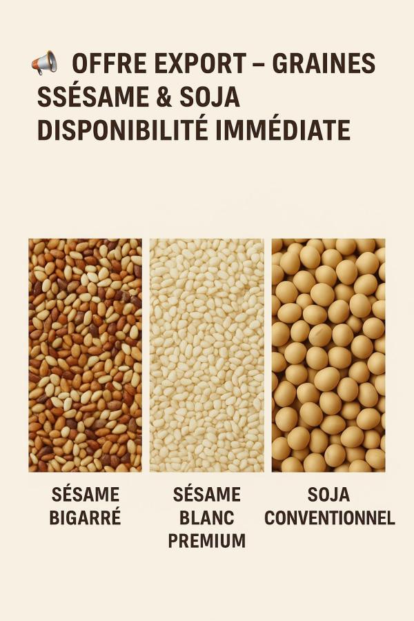  Sesame Et Soja Fob Port De Lome - fruits secs et graines grillées nous vous proposons des volumes importants de graines agricoles de haute qualit&eacute;,  disponibles imm&eacute;diatement &agrave; l exportation (fob ) au port autonome de lome.----   produits disponibles et prix fob ---  s&eacute;same bigarr&eacute;--   volume disponible - 2 000 tonnes--   prix - 1