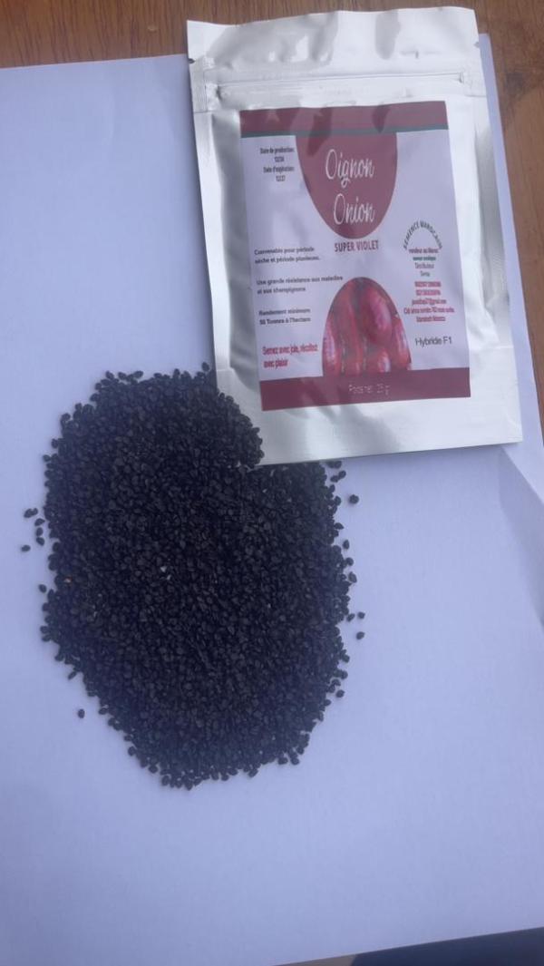  Semence D'oignons D'espagne - semence graine plant un de nos partenaires ivoirien avec qui nous travaillons,  dispose de 50 tonnes de semence d'oignons d'espagne,  au prix de 120.000 fcfa le kg.--mode de payement - cash.--une commission de 5.000.000 fcfa la tonne est à partager avec tout broker qui trouve un client.--merci de nous écrire