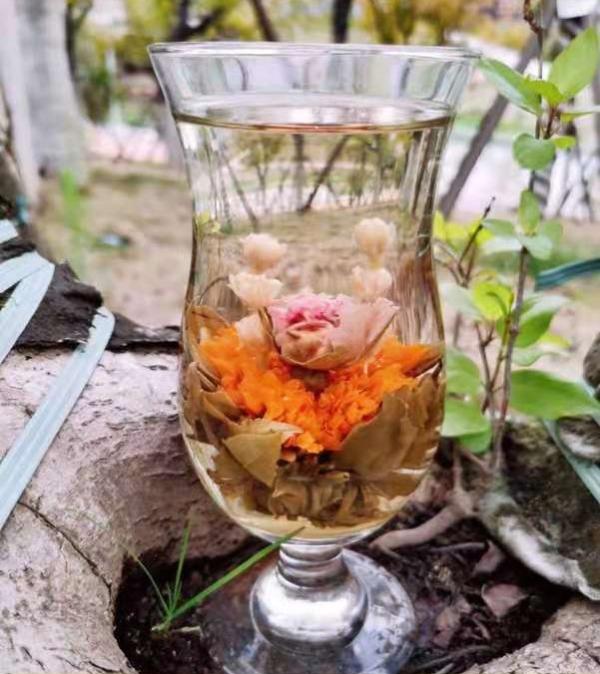  Fleurs De Thé Thé Fleurit - café cacao thé nous sommes producteurs de fleurs thé aussi appelées thés fleurits celles-ci se constituent de boules de feuilles thés,  renfermant différents agencements de fleurs,  qui une fois infusées vont s'ouvrir et révéler toute leur beauté. produi