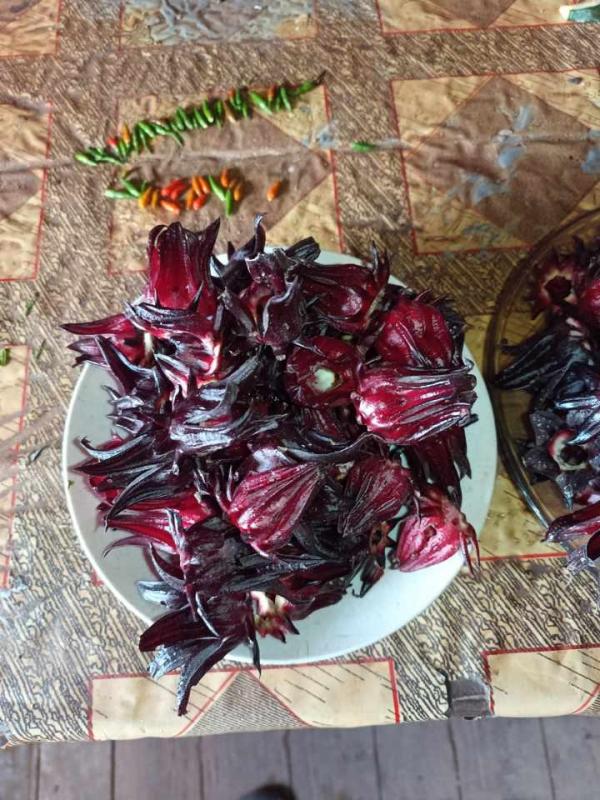  Bissap Sec - fruits secs et graines grillées nous cherchons des clients intéressés par des bissap secs.--quantité 15tonnes dispos.--prix 12euro le kg on accepte des commande en petite quantité +1tonne.--veuillez nous contacter directement si vous etes intéressés.--mode de paiement 50% à la comma