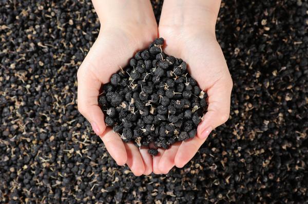  Grossiste Goji Noir Lycium Ruthenicum - fruits secs et graines grillées nous sommes grossiste exportateur de baies de lycium ruthenicum (goji noir) plusieurs grades et appellation d'origine disponibles,  très bons prix,  interlocuteur francais,  envoi rapide vers le monde entier. merci de nous contacter si besoin. la baie du lycium ruthenicum sauvage (aussi appel&ea