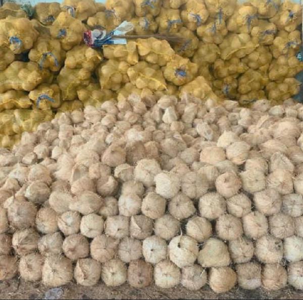  Fruits Frais Et Séchés - autres vous recherchez des fruits exotiques de qualité supérieure ou des produits dérivés prets à consommer ?--nous vous proposons une large sélection de fruits tropicaux frais,  séchés,  ainsi que des nectars naturels.----mangues fraîches & mangu