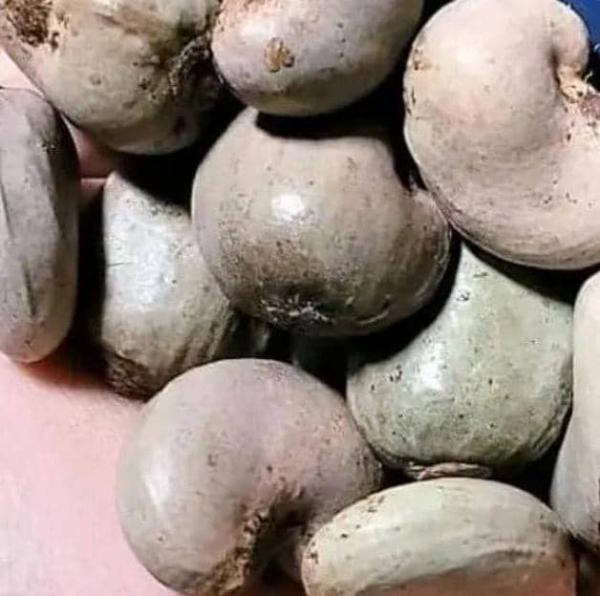  Cajou, Sésame Seed, Gingembre, Karité,soja - fruits secs et graines grillées bonjour à tous !--nous sommes une coopérative africaine spécialisés dans la production,  l'achat et la vente de tout type de produit agricoles. --avec aujourd'hui plus de dix ans d'expérience dans le secteur agricoles,  nous restons l'un des meilleurs compromis sur l