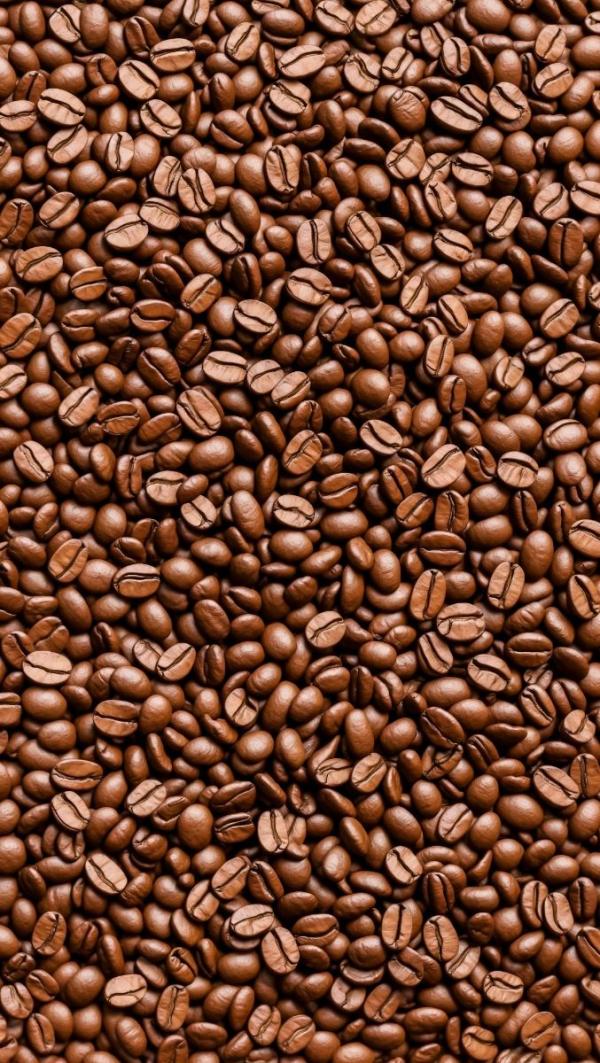  Recherche De Client Ou Exportateur De Café - café cacao thé nous sommes à la recherche de partenaires sérieux,  distributeurs ou acheteurs internationaux intéressés par l’achat de café et de cacao de qualité supérieure,  issus de plantations locales et cultivés dans le respect des normes environnementales
