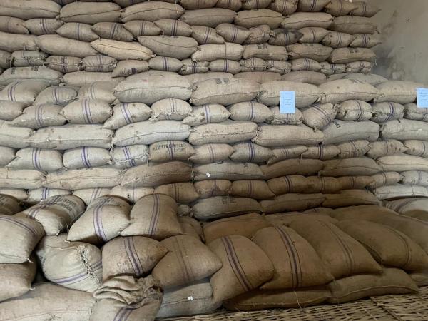  Cashew /noix De Cajou Raw Nuts Rcn - fruits secs et graines grillées vente de noix de cajou (rcn ) brutes non décortiquées en sacs de 80 kg    stock de 10000 t   1690 us$/tonne  cif --production 2025 ----