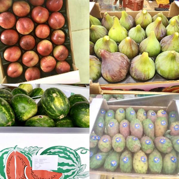  Pastèque Sentinelle Pêche Nectarine Figue - fruits et légumes calvani groupe,  société spécialisée dans le commerce international de produits agroalimentaires,  propose à l’export une gamme de fruits frais premium,  origine tunisie,  soigneusement sélectionnés pour les marchés exigeants --- pastèque se