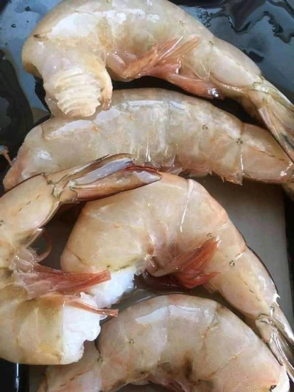  Poulpes Et Crevette Et Calmar - poissons nous cherchons des clients pour nos poulpes calmar et crevette &agrave; petit prix. prix 9euro 14euro le kg mode de paiement 50% &agrave; la commande et solde contre embarquement