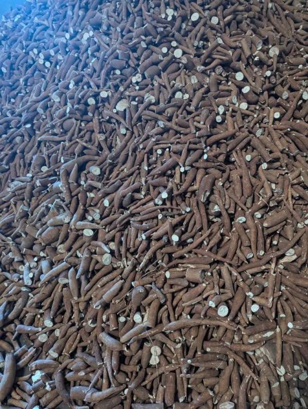  Manioc Seché De Madagascar - aliments pour animaux nous cherchons des clients pour nos maniocs bruts--prix très compétitifs 300euro la tonne--type d'emballage sac de 40kg-50kg--quantité 1000tonnes --mode de paiement 50% à la commande et solde contre documents.