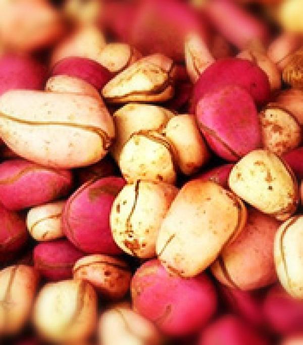  Recharge De Client Urgent Pour Noix De Cola - cereals discover the natural power of the kola nut!--are you looking for a natural,  stimulating product full of traditional values?--choose the kola nut,  the precious fruit of our african forests! -- rich in natural caffeine – daily energy and alertness-- powerful antioxidant – strengthens the body-- used i