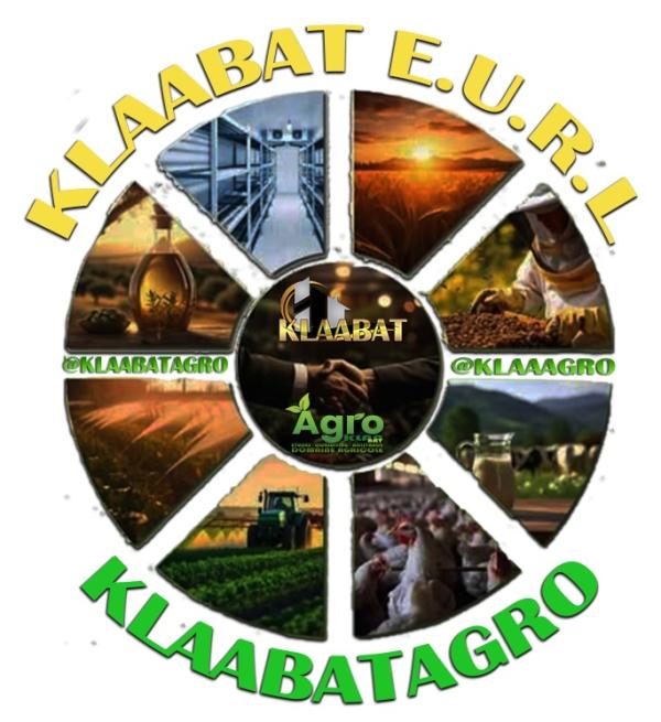  Partenaires Import Export (algérie) - autres avis au importateurs depuis l' algérie.--nous recherchons des distributeurs et importateurs sérieux pour promouvoir des fruits et légumes d'algérie.--produits sur demande--contactez-nous pour discuter des détails (tarifs,  conditions,  photos échantillons) ---