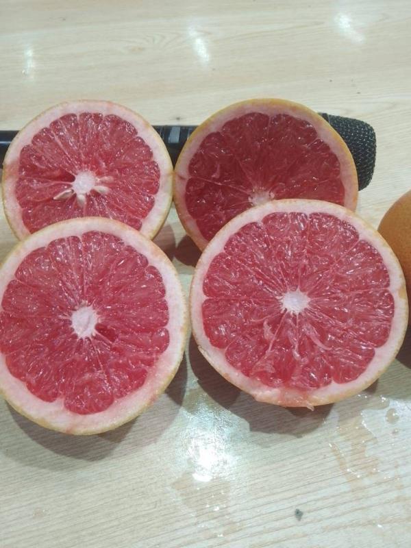  Exportateur De Fruits Et Légumes Frais Surg - fruits et légumes --nous sommes une entreprise basée au maroc,  spécialisée dans l’exportation de fruits rouges surgelés (fraise,  framboise) et de fruits et légumes frais - citron,  orange à jus,  pamplemousse,  pastèque,  melon,  poivrons (rouge,  jaune,  vert long),  concombr