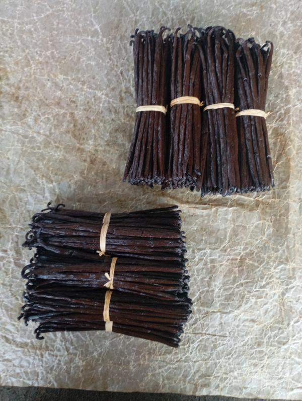  La Recherche Des Clients De Vanille - épices aromates bonjour je cherche des clients de la vanille naturelle de madagascar--noire et rouge us  --rouge us 14 monté--noire 15 , 16 , 17 et 18 monté--si vous intéresser--veiller me contacter sur mon numéro de whatsapp 