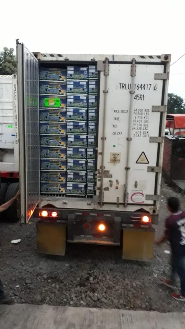  Bananes Cavendish Premium D'équateur - fruits et légumes produit - bananes fra&icirc;ches   vari&eacute;t&eacute; cavendish--origine - &eacute;quateur--qualit&eacute; - premium   cat&eacute;gorie  export --calibre - 39 46--conditionnement - bo&icirc;tes carton de 18, 14 kg net (40 lbs)--nombre de bo&icirc;tes - 1080 cartons / conteneur--total net / contene