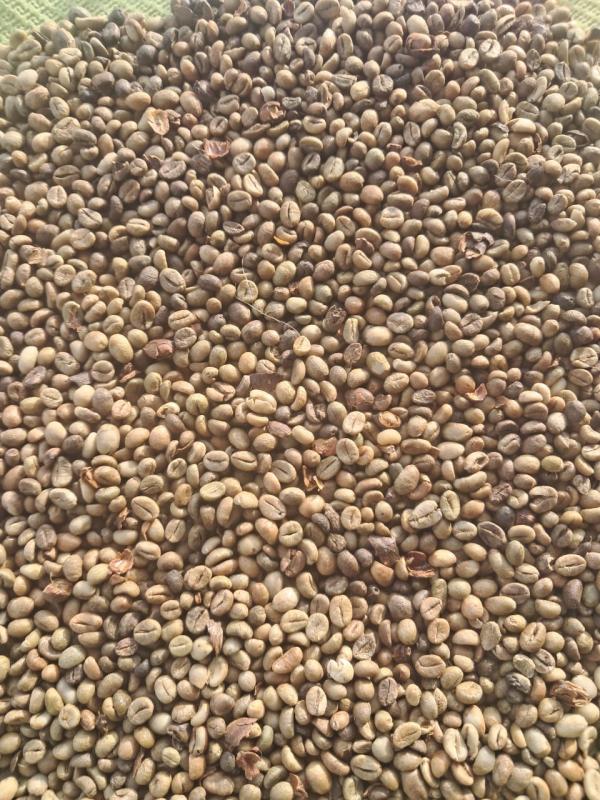  Café Cacao Disponible - café cacao thé bonjour nous sommes une entreprise sénégalais qui propose des matières premières dans plusieurs domaines tel- fruits, légumes, céréales et divers.--nous avons une très grande quantité importante de café robusta et cacao provenance d
