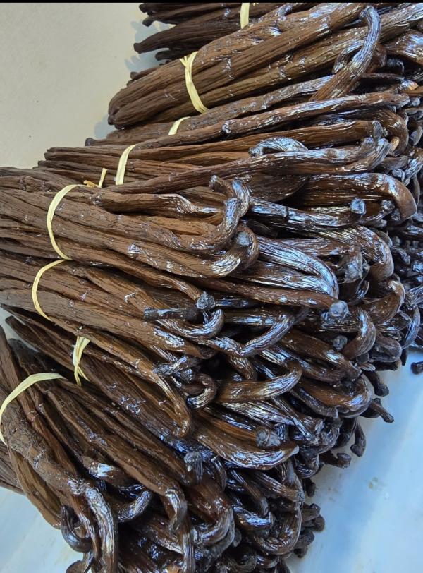  Vanille Bourbon De Madagascar Direct Produc - épices aromates livraison rapide depuis la bretagne – pour professionnels & revendeurs--vous etes chef,  artisan,  épicier ou revendeur ?--accédez à une vanille haut de gamme directement depuis notre plantation familiale à antalaha,  madagascar.--nous sommes producteurs,  et la distribution 