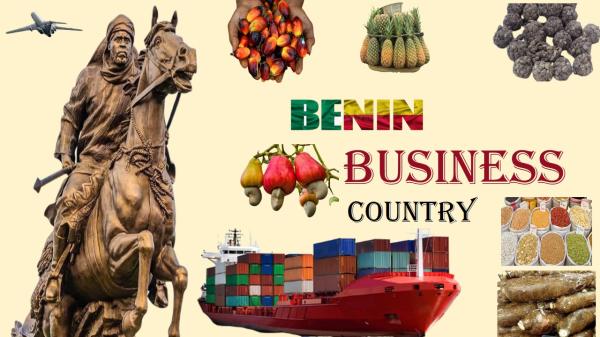 Business Au Bénin Un Partenaire Vos Côtés - autres vous cherchez à vendre,  acheter ou implanter votre activité au bénin,  un marché dynamique en pleine croissance ?---- nous mettons à votre disposition -----✔ une excellente connaissance du marché local--✔ un réseau fiable de partenaires logistiques et 