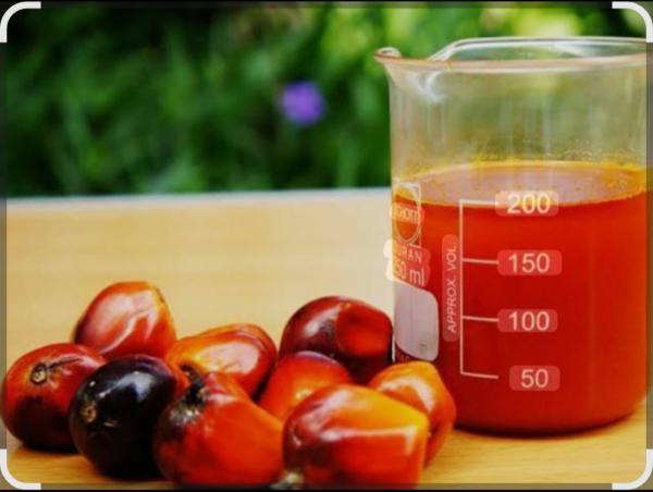  Recherche D'acheteurs D'huile De Palme - huiles une usine de production d'huile de palme en côte d'ivoire   recherche un acheteur de 80.000 litres  de l'huile rouge   prix 550 fcfa le litre  -   --n b paiement   par cheque ou cash après le changement  des camions 