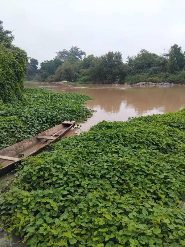  Vendre Parcelle Agricole De 40 Hectares - mine terrain concession opportunité à ne pas rater --une parcelle de terre agricole d'une contenance de 40ha située dans la zone de pacobo,  la parcelle est à 600 mètres du fleuve bandama et précisément à 8km du goudron. elle est facile d'accès et idéale 