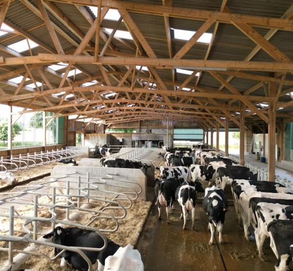 Ferme Et Agriculture - autres salut a tous je suis une femme d'affaires &acirc;g&eacute; de 52 ans d'origine gabonaise dipl&ocirc;m&eacute; d'ing&eacute;nierie agronome je recherche des partenaires du c&ocirc;t&eacute; de l'alg&eacute;rie pour la cr&eacute;ation d'une ferme bovins genre engraissement et laiti&egrave;re de plus
