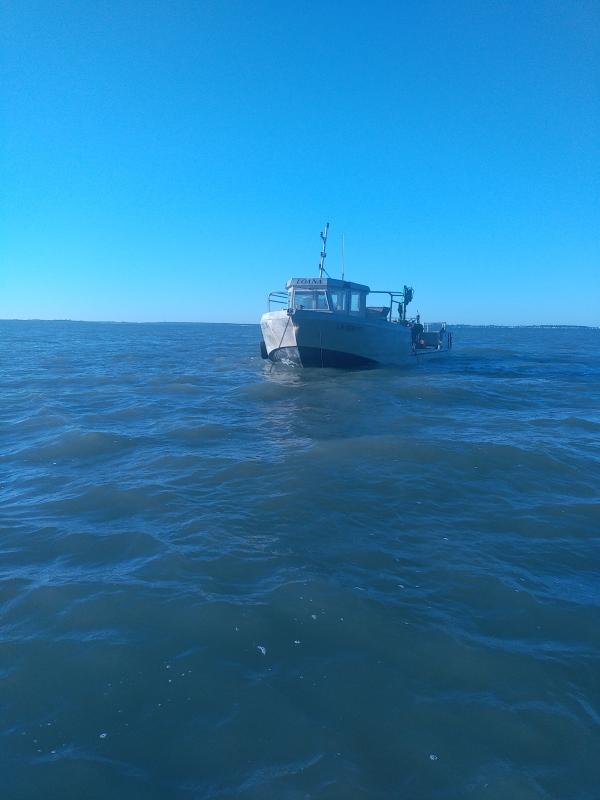 Navire Usine Aquacole - equipement maritime navire  a font plat de 4 eme catégorie 11m98  long /5m60 large ...avec ou sent materiel grue heila  5 tonnes avec treuil , moteur perkins 90 cv 2 moteur hors bord de 225 cv honda de 2011 percheuse a moules , strippeuse,  machine a boudin, brosseuse a moules,  tapis d'alimentation de dégrapp