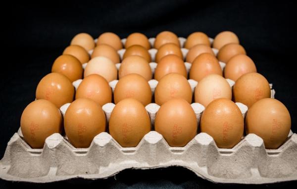  Vends Oeufs Origine Ukraine - viandes et oeufs 302400 pieces , 28 palettes sur camion , 10800 pieces sur palette, 302400 pieces , 28 palettes sur camion , 10800 pieces sur palette, 302400 pieces , 28 palettes sur camion , 10800 pieces sur palette