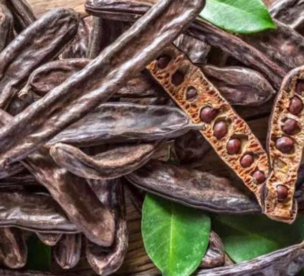  Gold Carob - café cacao thé bonjour cher client on vous propose la meilleure qualité de carrobe du marché algérien  pour de différentes et plusieurs utilisations la qualité et le prix est assuré