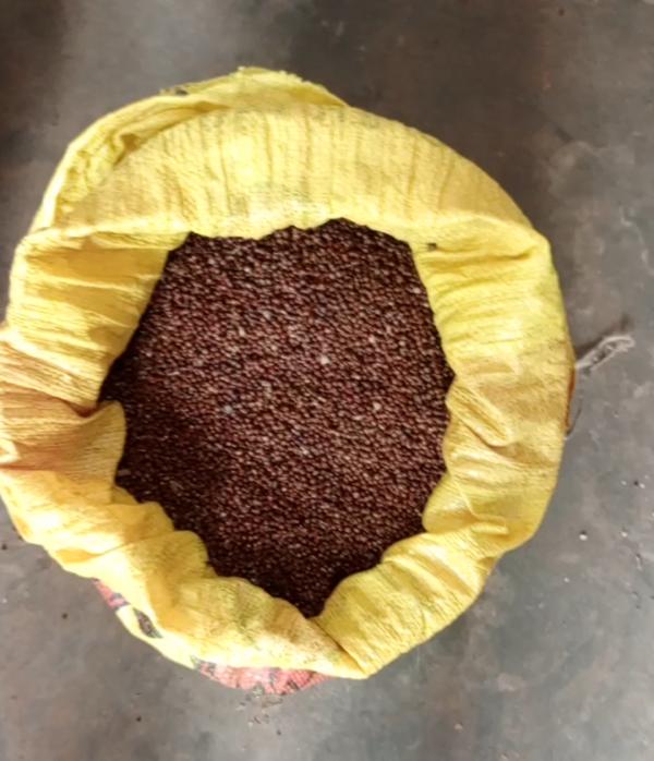  Vente De Graines De Maniguette - épices aromates bonjour je suis en côte d'ivoire et nous disposons de 15 tonnes de graines de maniguette. intéressé contactez via whatsapp. plaisantin s'abstenir merci cordialement 
