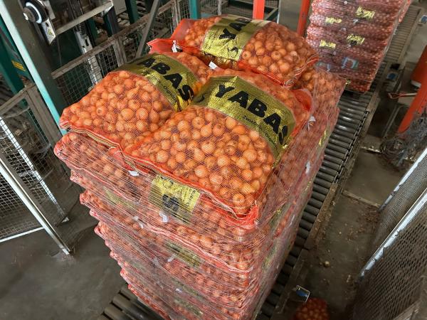  Recherche Fournisseur D'oignon Hollandais - fruits et légumes les annonces nous recherchons les 'oignon hollandais de calibre 45-65mm 10kg sac--l' annonce oignon ,  1 conteneur pour le moment,  nous pouvons augmenter la quantité avec les temps selon la qualité et les prix ----conditions de paiement ----contre le copie de documents avant toute virem