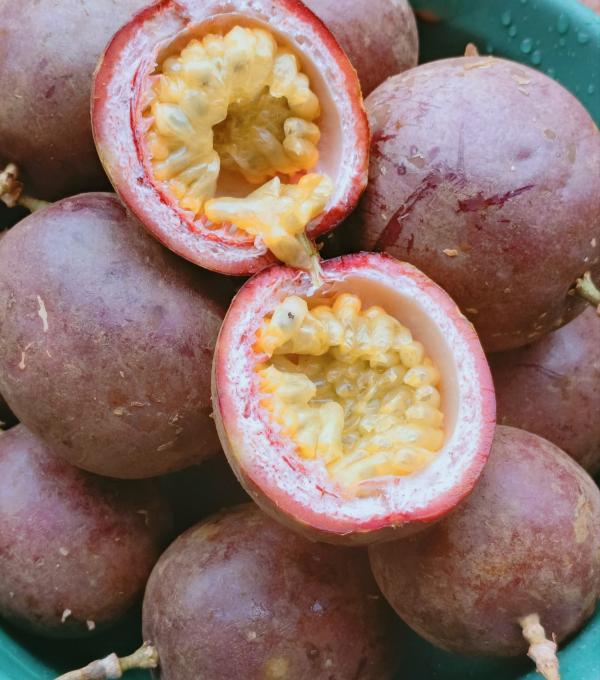  Fruit De La Passion Du Cameroun - fruits et légumes nous recherchons d'acheteurs de fruits de la passion en provenance du cameroun. go&ucirc;t exquis fra&icirc;cheur et qualit&eacute; assur&eacute;e une tonne disponible par semaine depuis douala disponible pour l'export 