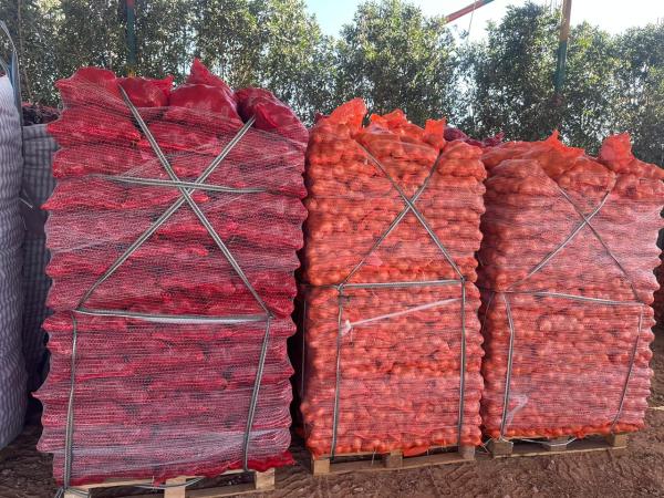  Oignons Jaunes Et Rouges - fruits et légumes  *oignons d'origine &eacute;gypte* nous proposons des oignons frais et de haute qualit&eacute; issus de l'agriculture &eacute;gyptienne. nos oignons sont s&eacute;lectionn&eacute;s avec soin pour leur saveur et leur qualit&eacute;. *caract&eacute;ristiques * origine &eacute;gypte 