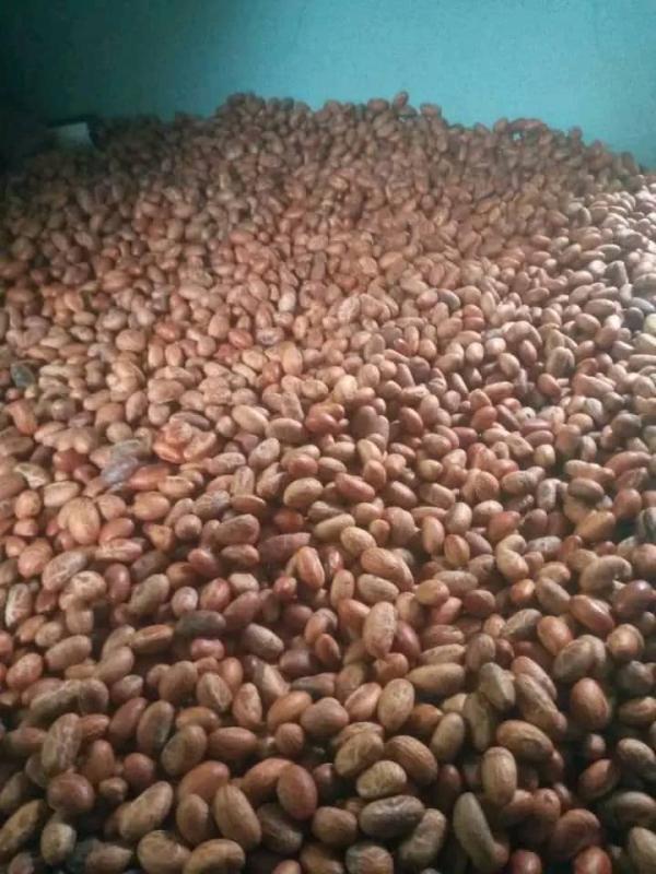  Petit Colas - fruits secs et graines grillées bonjour a tous!--je suis représentant de la société service france au burkina faso,  nous sommes une société de production de petit cola au burkina faso de bonnes qualités. en cas besoin n'hésitez pas de contacté service france. merci.--cordiale