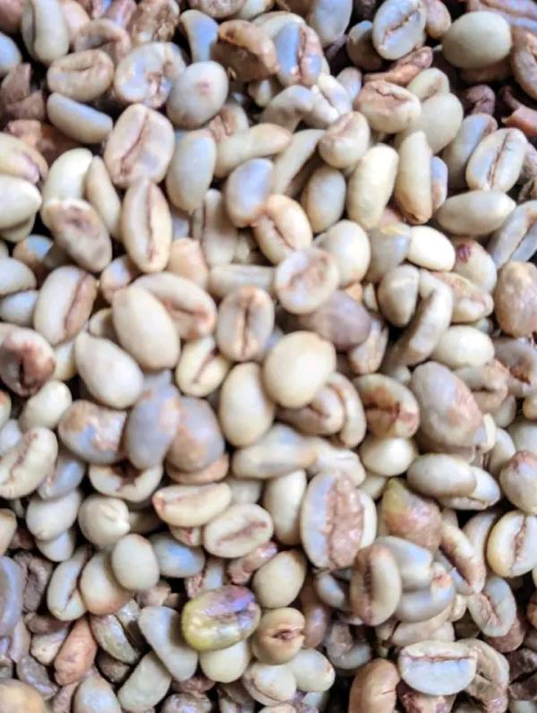  Café Robusta Et Arabicas De Madagascar - café cacao thé nous cherchons des bons clients pour nos caf&eacute; robustas et arabicas de madagascar. nous acceptons un contrat de 400tonnes par mois. prix 5000euro la tonne cif. condition d'emballage sac de 60kg mode de paiement 40% &agrave; la commande et solde contre embarquement ou apr&egrave;s embarq