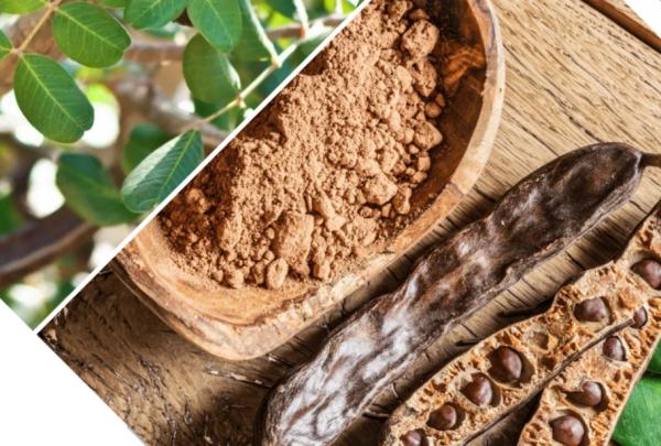  Le Karoub - fruits secs et graines grillées la caroube est une plante de la famille des l&eacute;gumineuses aussi appel&eacute;e « caroube ». elle se caract&eacute;rise par ses fruits plats en forme de gousse qui contiennent des graines comestibles. la caroube est utilis&eacute;e dans de nombreux plats et boissons et est &eacute;galement