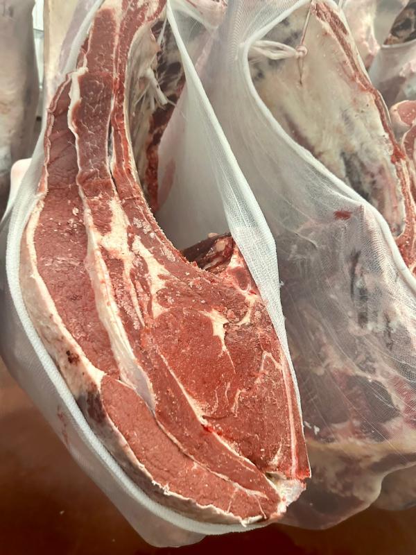  Viande-carcasse Certifiée - viandes et oeufs nous sommes une soci&eacute;t&eacute; espagnole --nous disposons de viande en carcasse charolais-limousin certifi&eacute;e --vous pouvez transmettre votre demande par message --cordialement 