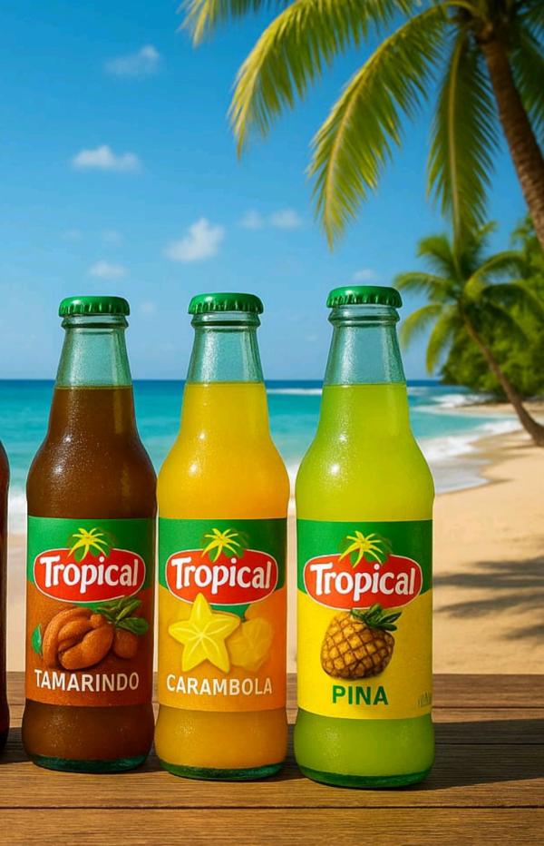  Jus De Fruits Exotiques Frais Bio - jus concentré sirop nous avons à vous proposer des jus de fruits exotique,  fait maison du costa rica . certifié pour les expédition en europe ou internationaux.  jus bio sans conservateurs. contactez moi.