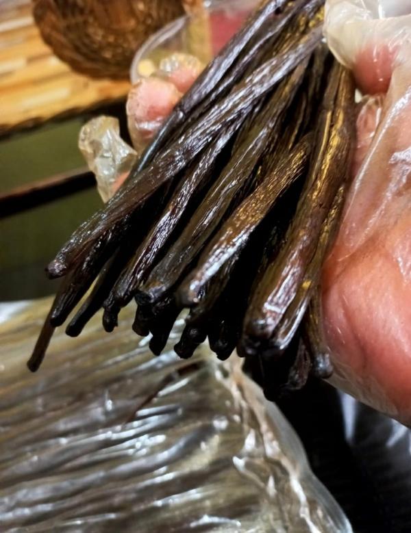 Vanille - épices aromates vanilla beans d'indonesie disponible avec differents grade. merci nous contacter pour plus de details informations.