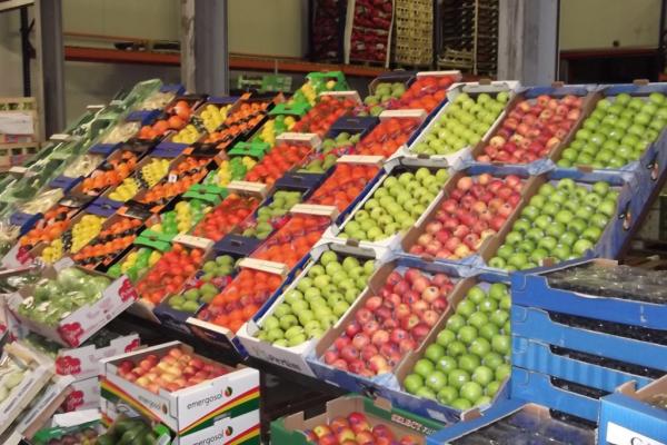  Appel Partenariat Fournisseur/exportateur - fruits et légumes dans le cadre de l’expansion de nos activit&eacute;s de distribution de produits agricoles au s&eacute;n&eacute;gal nous recherchons activement des partenaires dans la fourniture de fruits et l&eacute;gumes de qualit&eacute; (oranges – pommes). int&eacute;ress&eacute; par une collaboration ? merc