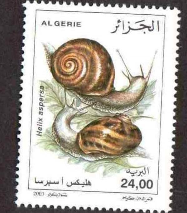 Projet Hélicicole Algérie - animaux vivants lettre d intention   projet h&eacute;licicole alg&eacute;rie (aïn defla) proposition de partenariat strat&eacute;gique pour le d&eacute;veloppement d une ferme pilote en h&eacute;liciculture monsieur / madame je me permets de vous adresser cette lettre d intention dans le cadre de la recherche