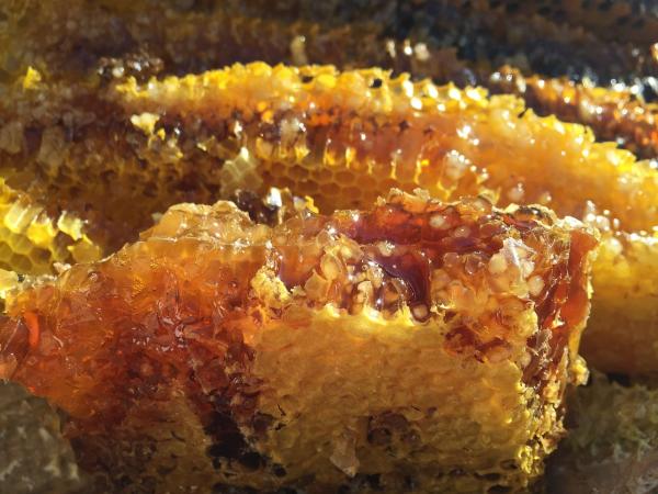  Vente De Miel Pur Pour Cosmetiques Diy - autres bonjour, --nous proposons du miel pur pour cosmetiques. la dlc pour la consommation alimentaire est presque arrivée à terme mais le miel est d'excellente qualité.--prenez contact avec moi pour plus de précisions.--au plaisir de vous lire et d'échanger avec vous.----