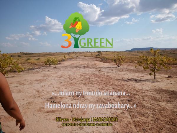  Demande De Partenariat - autres madame monsieur je me permets de vous contacter dans le cadre de la recherche de partenaires (financiers et techniques) pour le d&eacute;veloppement d’un projet agricole d&eacute;j&agrave; en cours dans la r&eacute;gion nord ouest de madagascar plus pr&eacute;cis&eacute;ment dans le domaine de