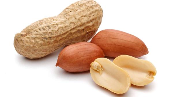  Grand Producteur - autres nous  évoluons dans l'agro businesse particulièrement dans le décorticage et ventes d'arachides ,  nous sommes capable de fournir minimum 500 tonnes a 10 000 tonnes et aussi dans la commercialisation des noix de cajou 
