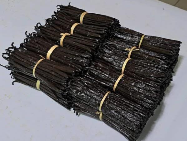  La Recherche Des Clients - épices aromates nous vendons de vanille naturel de madagascar de haute qualit&eacute; comme non fendue noir 11 12 13 14 15 17 et 18 plus vanille rouge us fendue 13 mont&eacute; 14 mont&eacute; rouge us non fendue 13 mont&eacute; et 14 mont&eacute; rouge us 10 11 et 12 13 (fendue non fendue ) vanille