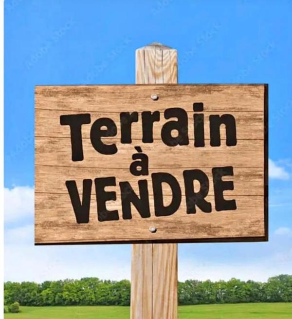  Nous Vendons Des Terrains Urbain Et Agricoles - mine terrain concession nous vendons des terrains urbain agricoles et minerais en c&ocirc;t&eacute; d'ivoire des centaines d'hectares fiables et sans litiges pour tout vos besoins d'achat de parcelle ou maison n'existe pas de nous contacter au 