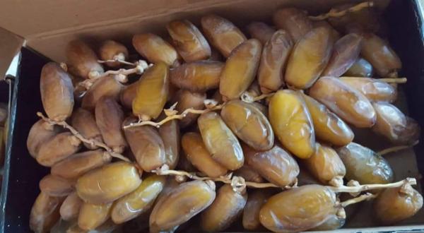  Dattes Tunisiennes De Très Bonne Qualité - fruits et légumes vous etes un petit importateur,  une &eacute;picerie sp&eacute;cialis&eacute;e ou un distributeur local &agrave; la recherche de dattes tunisiennes de qualit&eacute; ?-- nous vous proposons --- deglet nour en branches / standard-- qualit&eacute; export premium ou premier choix-- conditionnement adapt