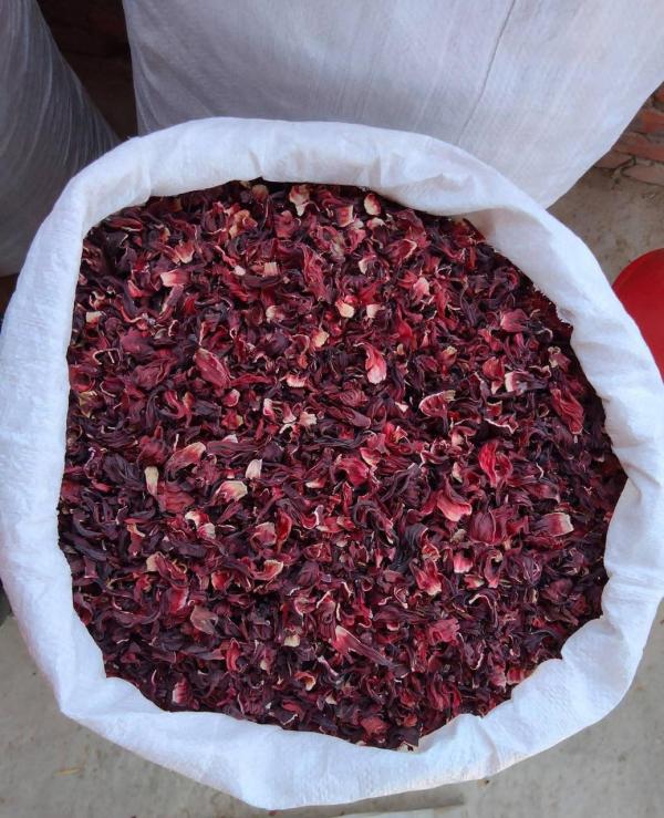  Hibiscus Bissap - fruits secs et graines grillées  *fleurs d'hibiscus pour jus local et naturel* origine s&eacute;n&eacute;gal/ &eacute;gypte quantit&eacute; disponible [quantit&eacute;] prix  description nos fleurs d'hibiscus sont fra&icirc;ches et de haute qualit&eacute; id&eacute;ales pour la pr&eacute;paration de jus