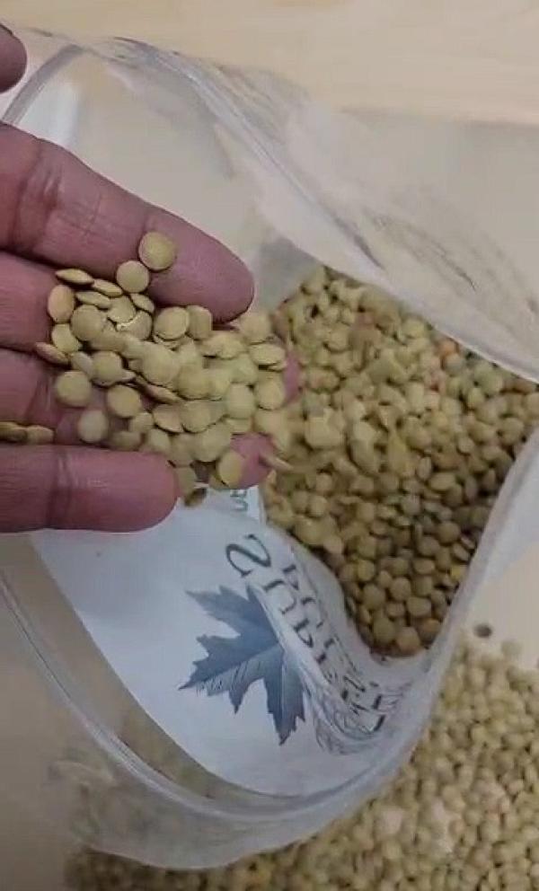  Lentilles Vertes Green Lentils (laird s) - fruits and vegetables 1 small green lentils (laird s) # 1 (premium quality) . (size 4 5 mm  ..size depends in weather condition)  dry/machine clean  .crop 2025  canada origin  .4 x 20ft fcl  .packed in 25 kg global branded bags (image is in the attachment)  cfr or cif  .la havre france  ..september october november