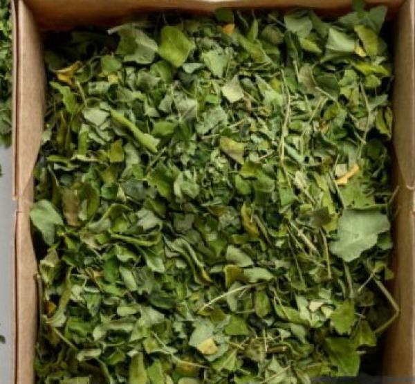  Moringa Certifié De Qualité Supérieure - autres vous etes à la recherche de la poudre de moringa ou de la feuille de moringa,  vous etes au bon endroit. nous vous proposons de la poudre de moringa,  de la feuille de moringa certifiées ecocert,  ab (agriculture biologique),  fda (food and drug administration),  conditionnées de man