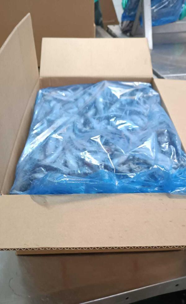  Offer On Frozen Sardine And Achovies - fish we are pleased to present you with a special offer on frozen sardines and anchovies in convenient 20 kg boxes. if you re interested in more details or specific pricing please feel free to reach out. we look forward to serving your needs. best regards 20 kg / boxe 600t 